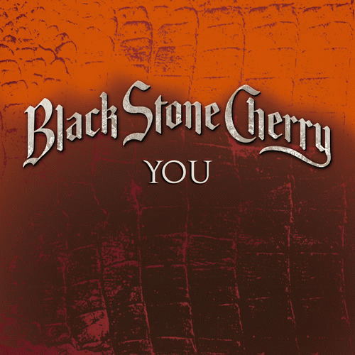 Black Stone Cherry : You